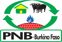 LOGO PNB